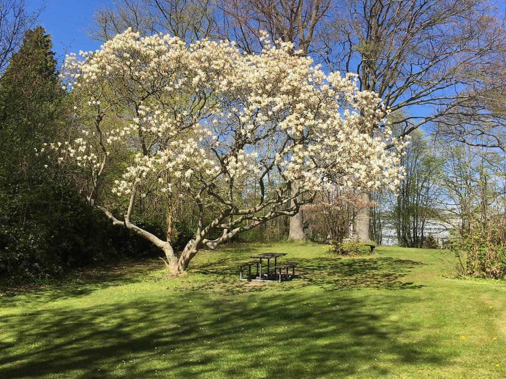Fredensborg Vandrerhjem, I Kongens Baghave Buitenkant foto
